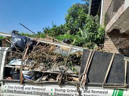 Best Hoarding Cleanup  in West Wendover, NV